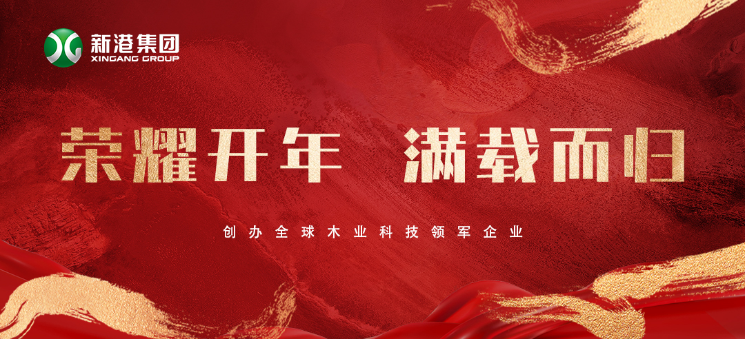 2025喜訊頻傳！新港集團(tuán)榮膺多項(xiàng)大獎(jiǎng)，再獲行業(yè)認(rèn)可！